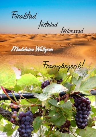 Förakt från människor - Guds test 1 Foraktad Wallgren